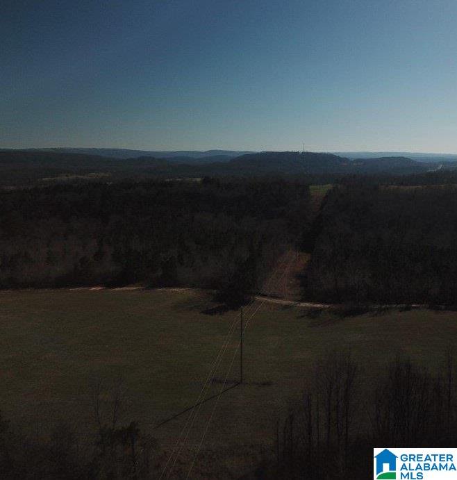 0 Posey Road, Unit TRACT 2 Blountsville, AL 35031 - Photo 7 of 9