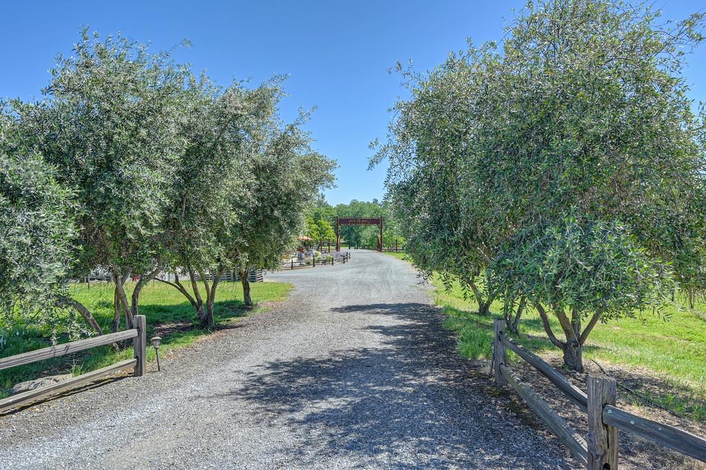 7505 Wise Road Auburn, CA 95603 - Photo 38 of 56