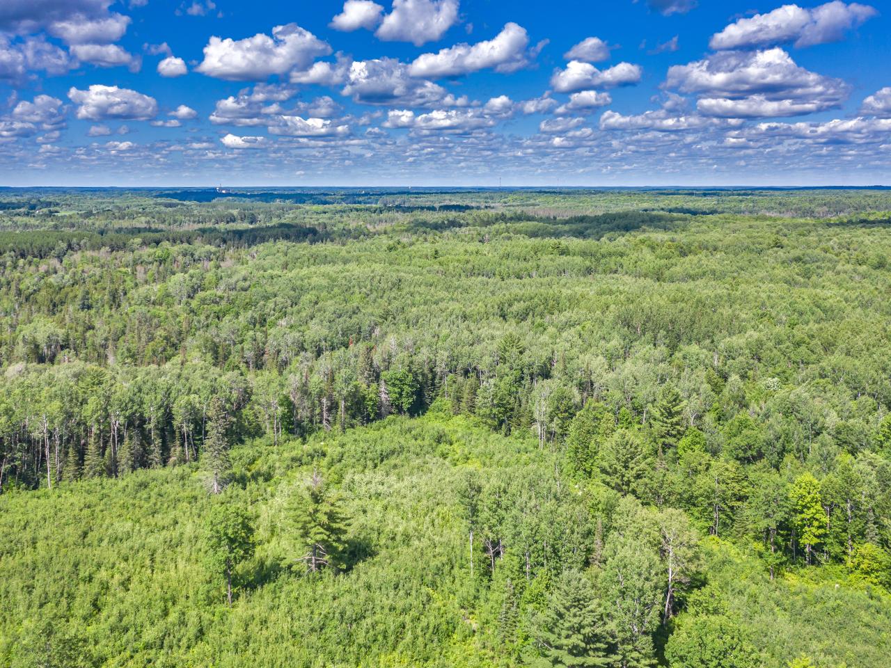 2578 Hwy 17 Rhinelander Wi 54501 Rhinelander, WI 54501 - Photo 6 of 10 Gallery Image 6