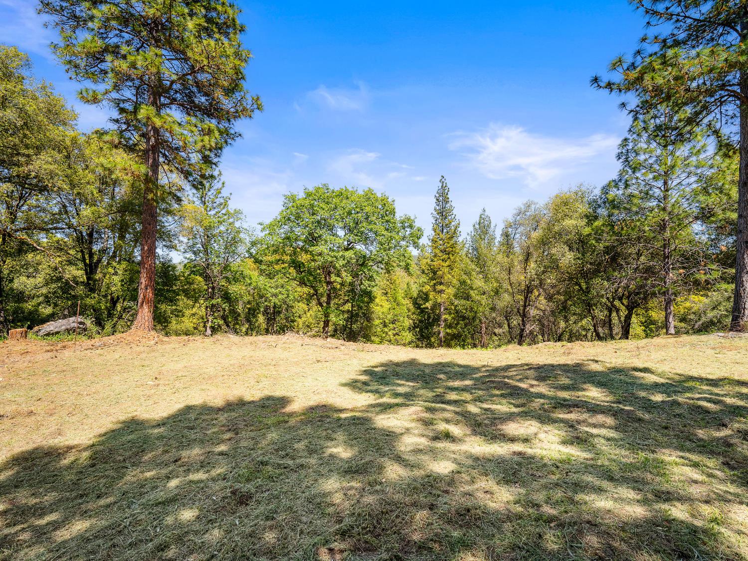 2800 La Paz Road Placerville, CA 95667 - Photo 17 of 52