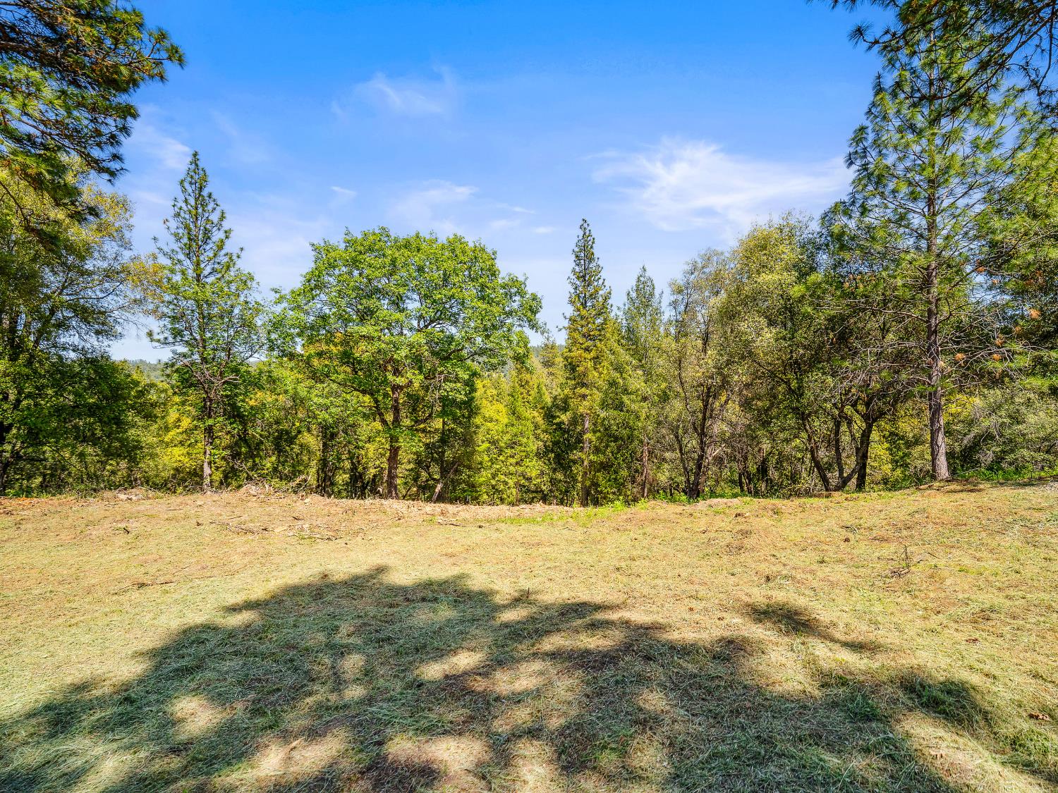 2800 La Paz Road Placerville, CA 95667 - Photo 19 of 52