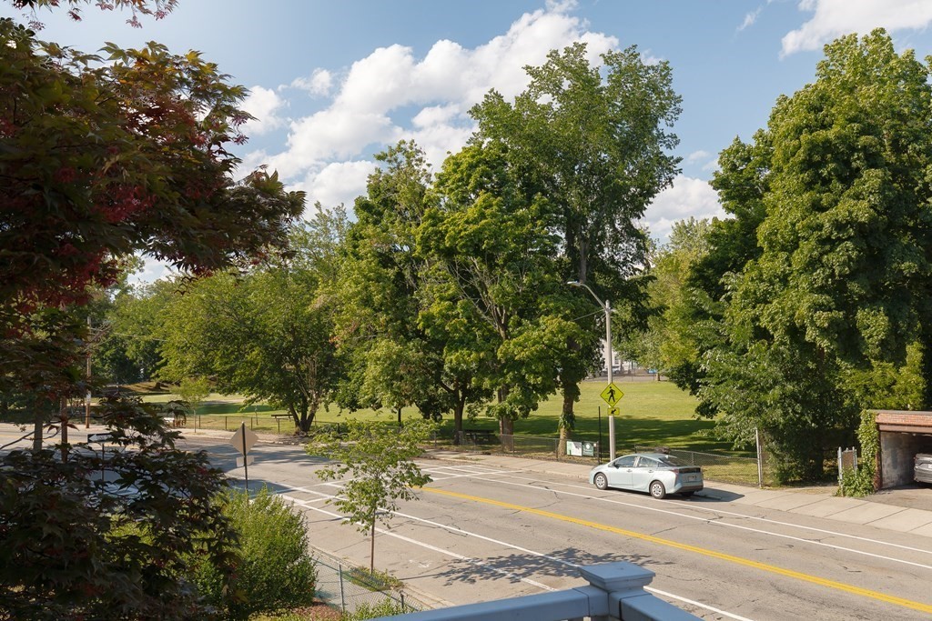 317 Cypress Street Brookline, MA 02445 - Photo 21 of 24