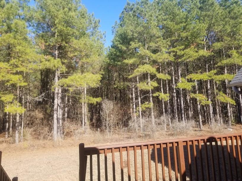 2112 Dingle Pond Road Summerton, SC 29148 - Photo 10 of 14 backyard