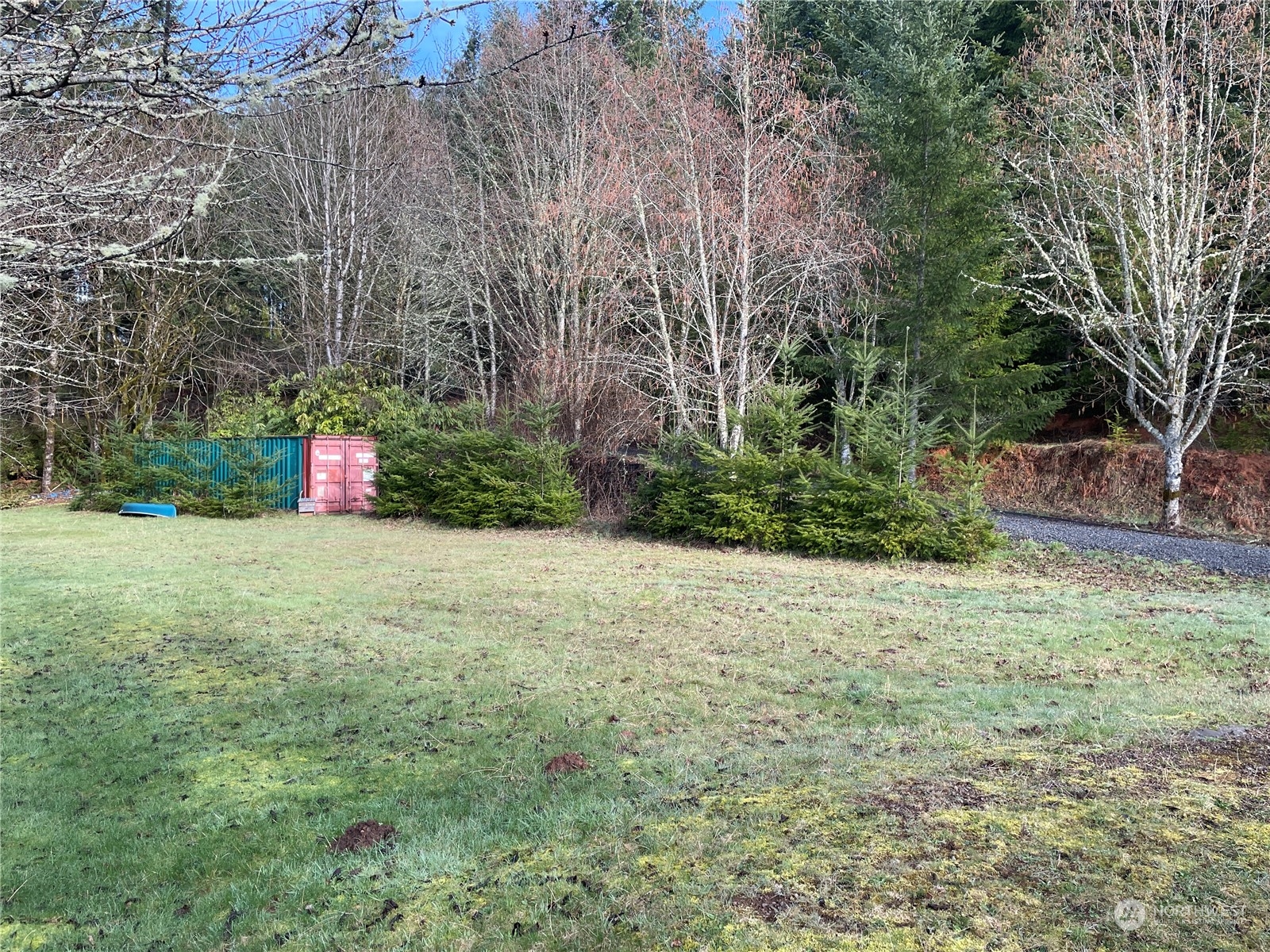 254 Tangen Road Woodland, WA 98674 - Photo 12 of 26 Gallery Image 12