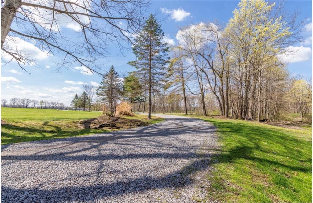 159 Greenfield Road New Wilmington, PA 16142 - Photo 2 of 25 Gallery Image 2