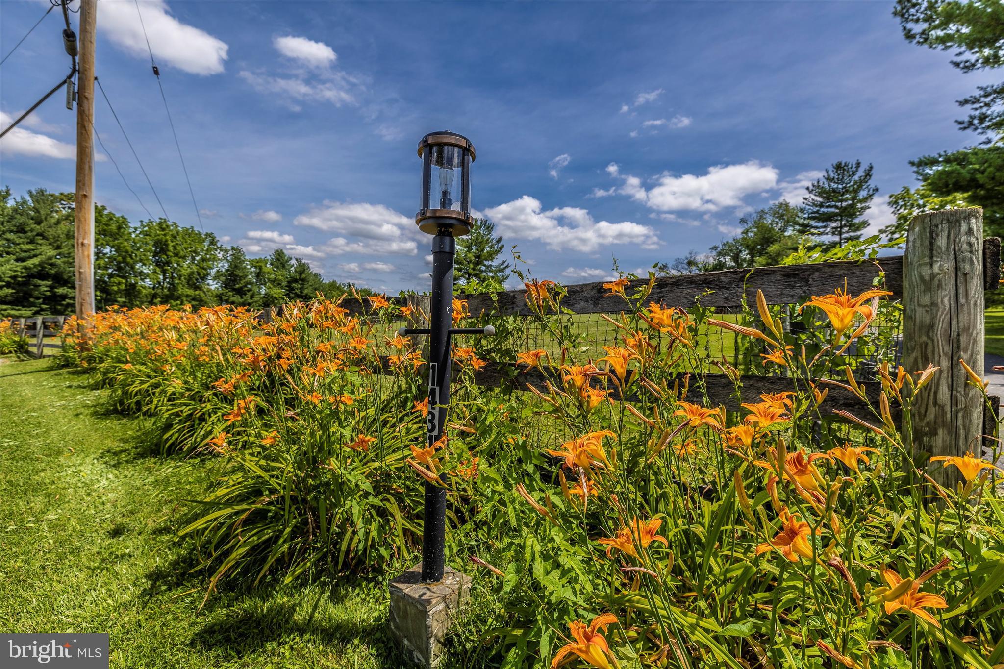 1431 Nicodemus Road New Windsor, MD 21776 - Photo 64 of 77 Road Side Beauty!