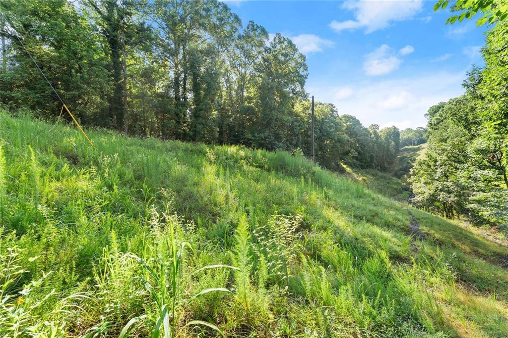 3199 Lotheridge Road Gainesville, GA 30501 - Photo 12 of 13 a view of a lush green forest