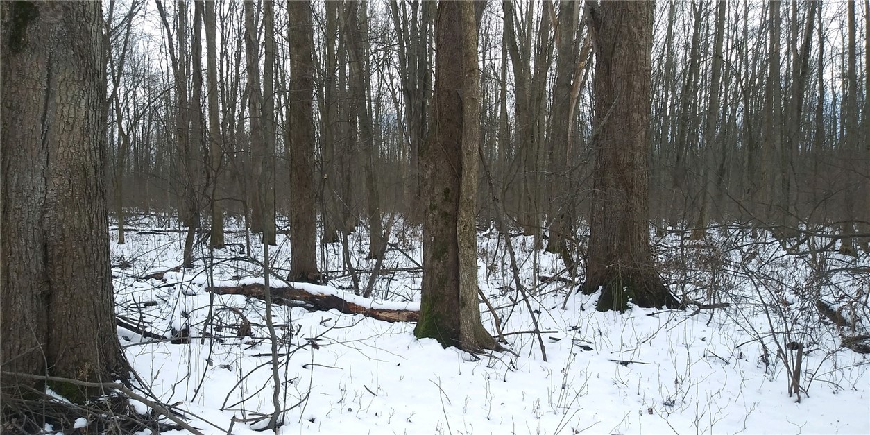 0 Shaker Tract Road North Rose, NY 14516 - Photo 1 of 1 Gallery Image 1