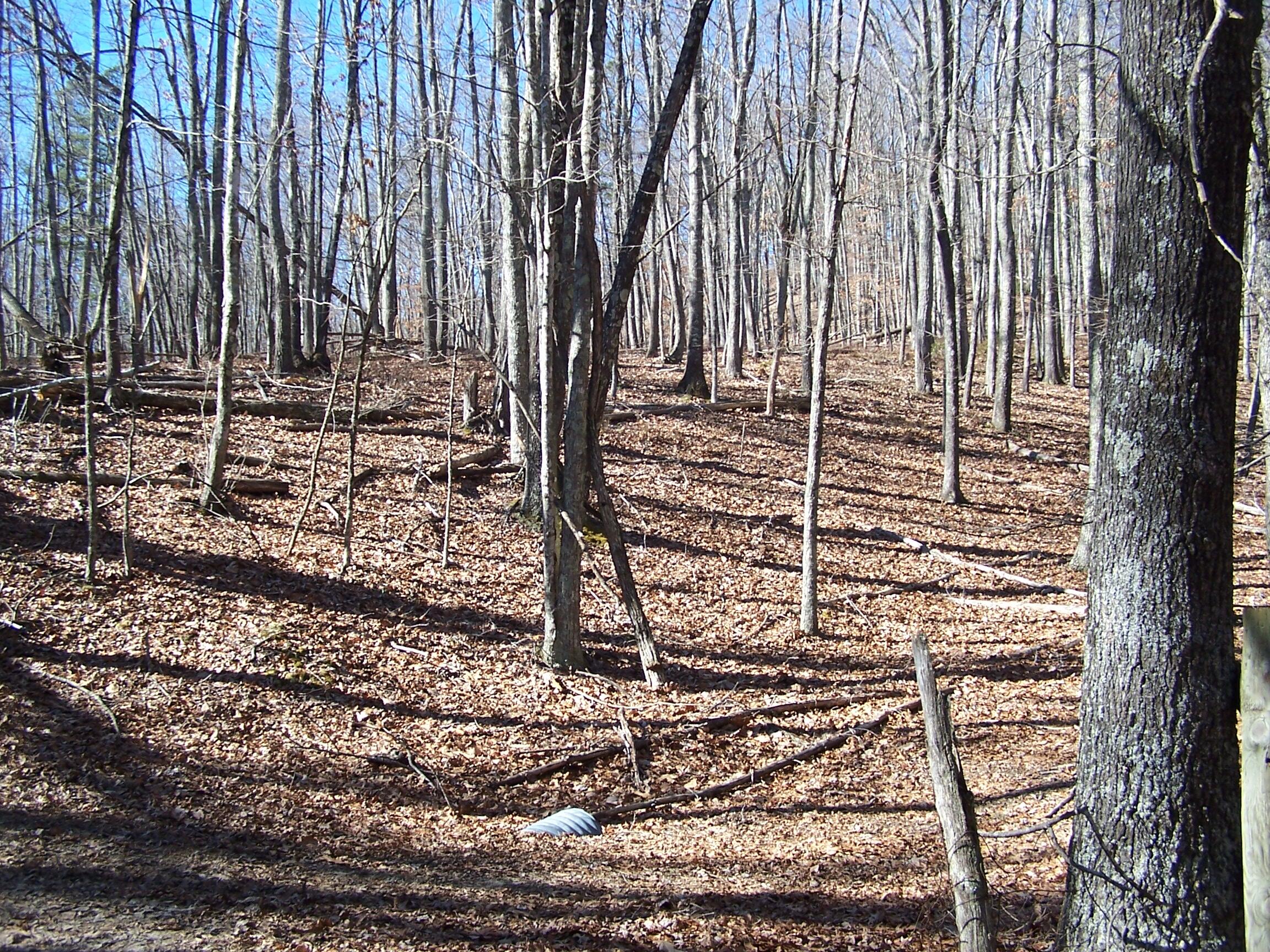 0 Southside Road New Castle, VA 24127 - Photo 13 of 57 a view of a backyard with trees