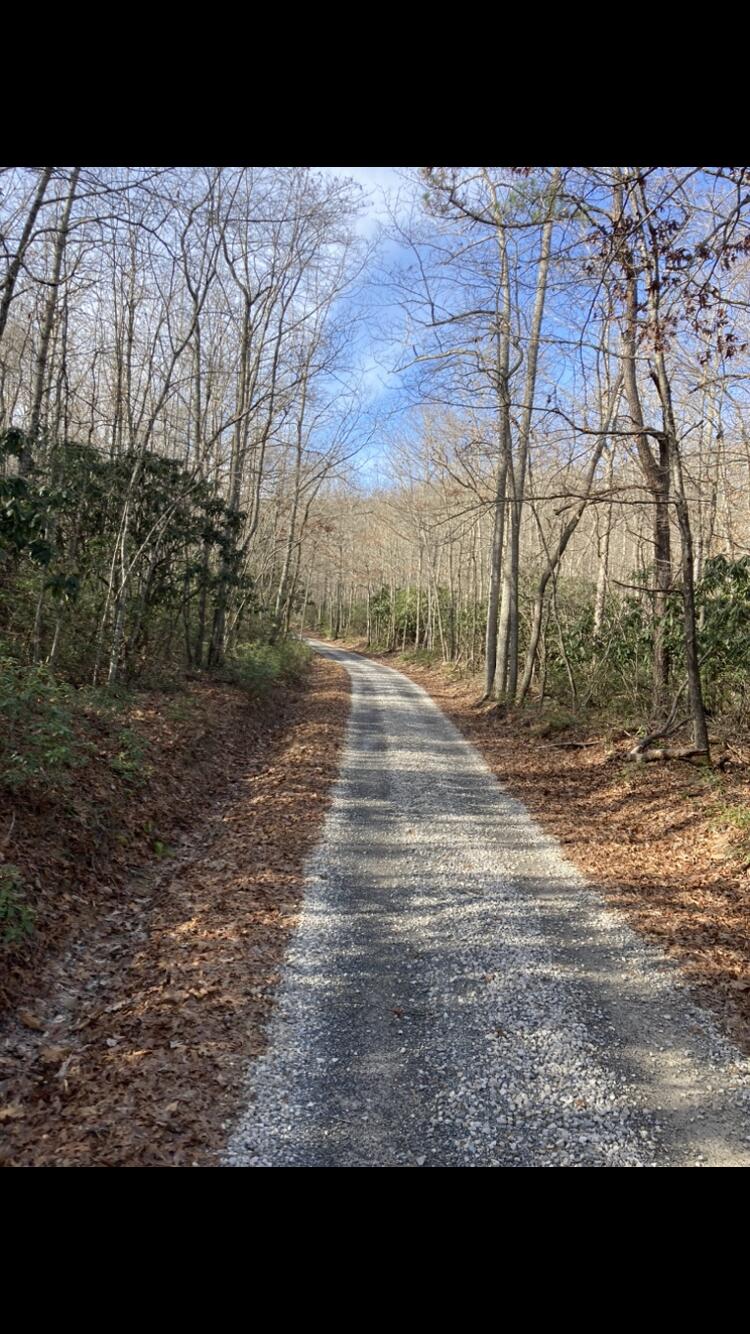 0 Southside Road New Castle, VA 24127 - Photo 2 of 57 a view of dirt yard with a large tree