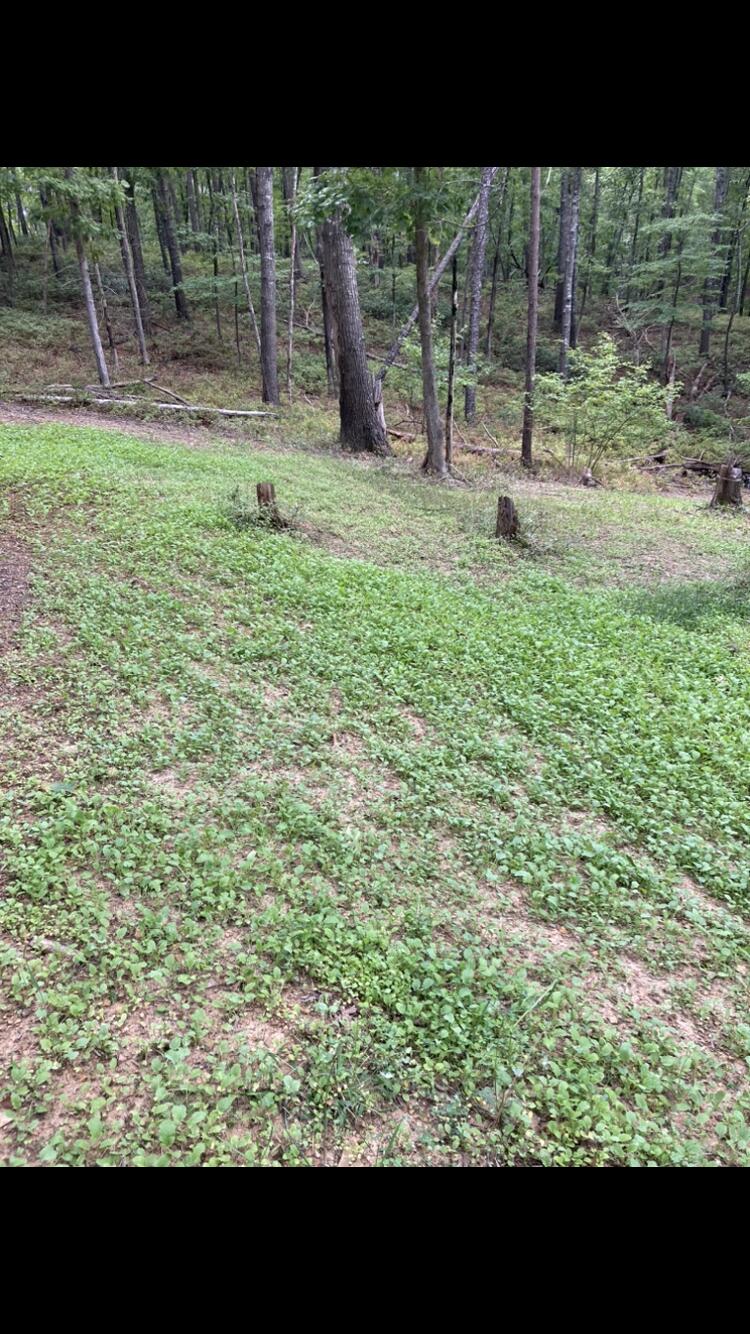0 Southside Road New Castle, VA 24127 - Photo 28 of 57 a view of outdoor space with a garden