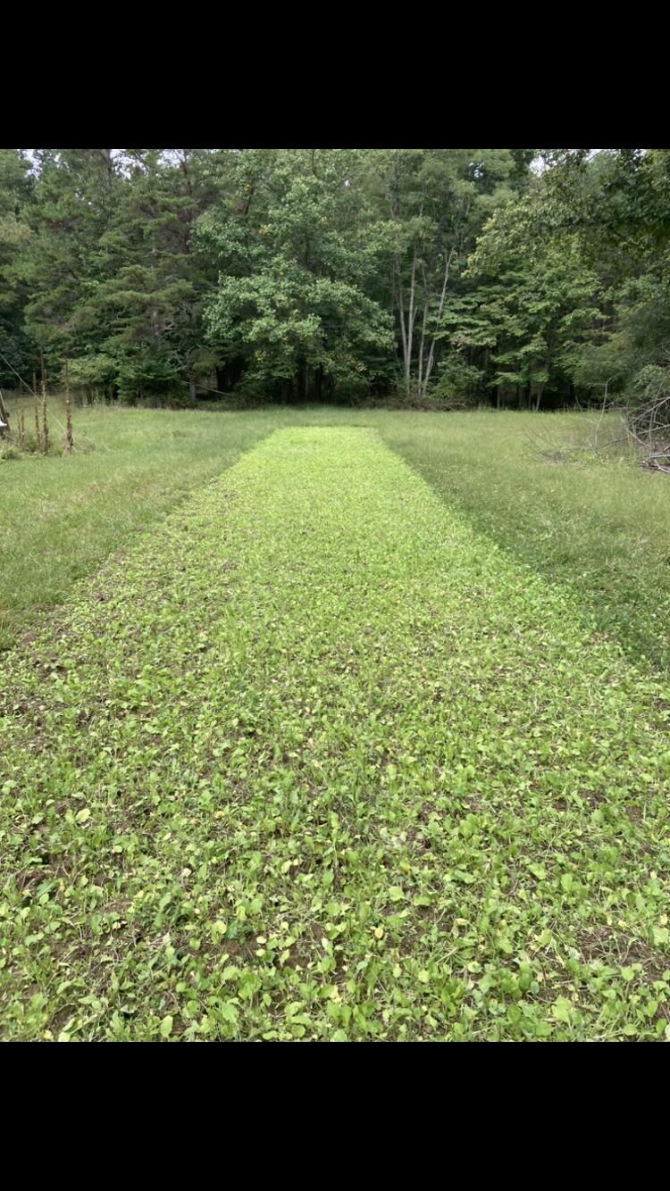 0 Southside Road New Castle, VA 24127 - Photo 29 of 57 a view of a green field