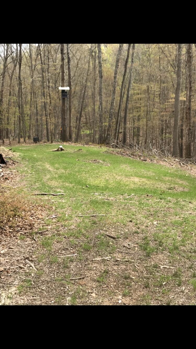 0 Southside Road New Castle, VA 24127 - Photo 31 of 57 a view of outdoor space with yard