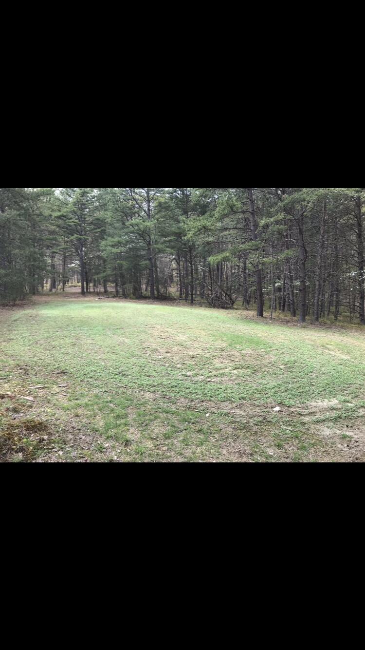 0 Southside Road New Castle, VA 24127 - Photo 32 of 57 a view of outdoor space and yard