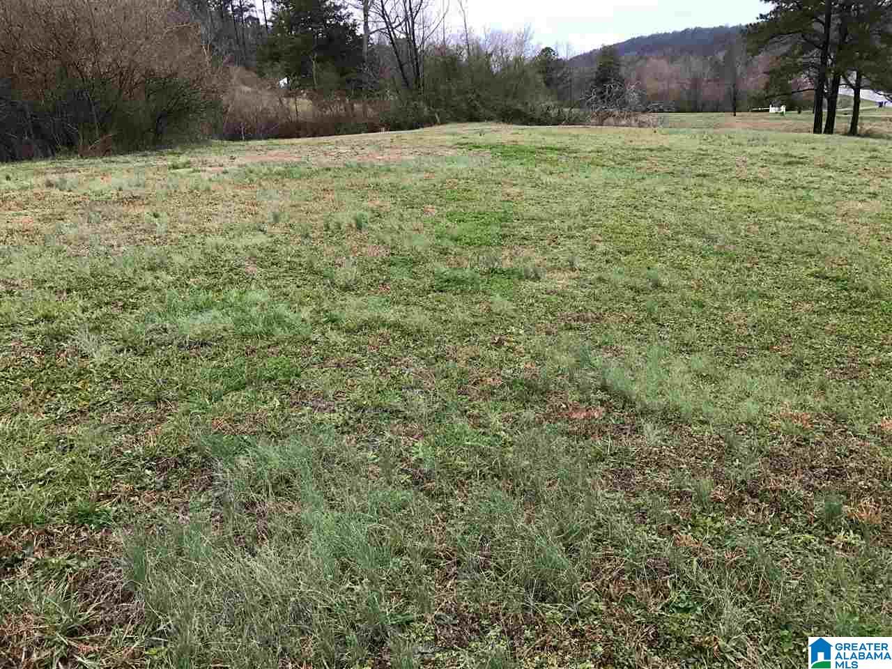 58795 Highway 231 Oneonta, AL 35121 - Photo 25 of 25