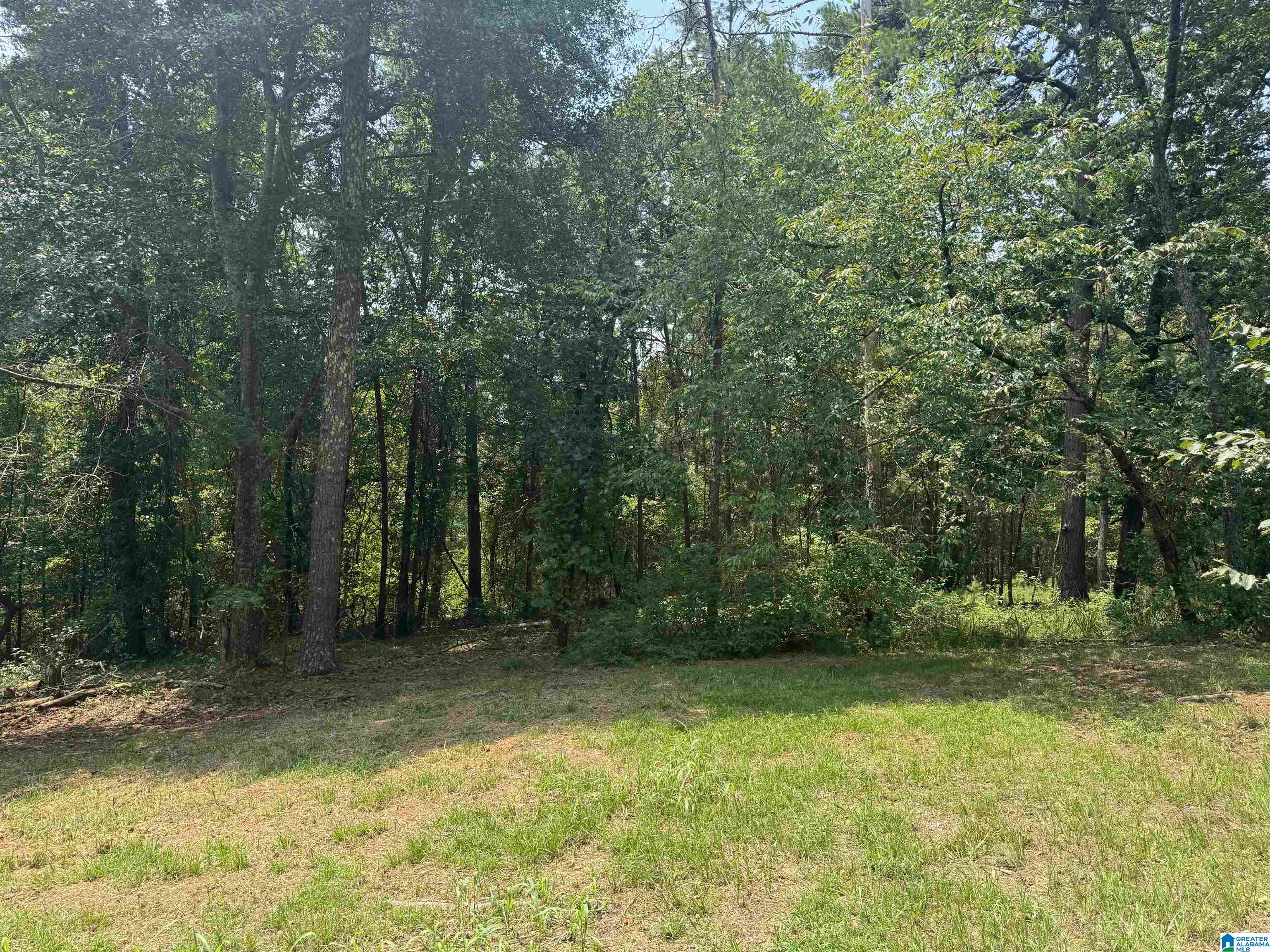 305 Stone Ridge Trail North Anniston, AL 36207 - Photo 68 of 72