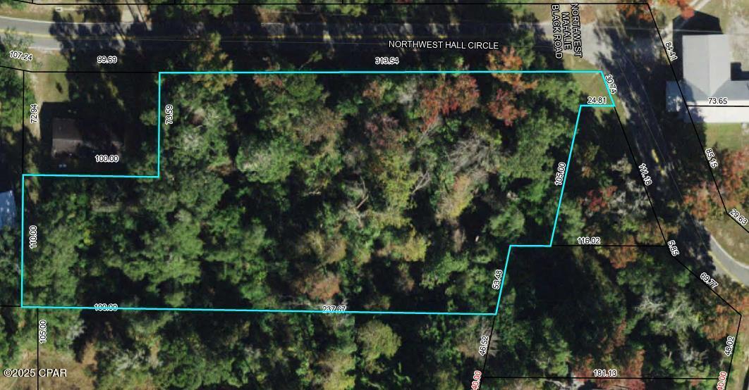 0 Northwest Hall Circle Bristol, FL 32321 - Photo 2 of 17