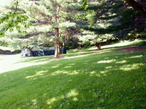 616 Sohn Road Aliquippa, PA 15001 - Photo 6 of 8 Yard/Garden.