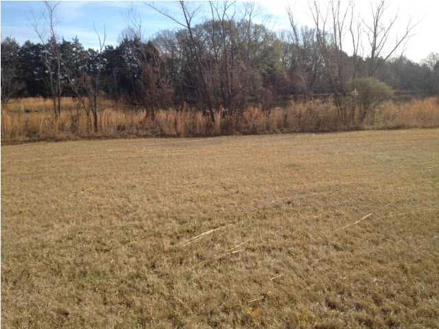0 Lebanon Pinegrove Road Jackson, MS 39209 - Photo 2 of 5 Photo 2
