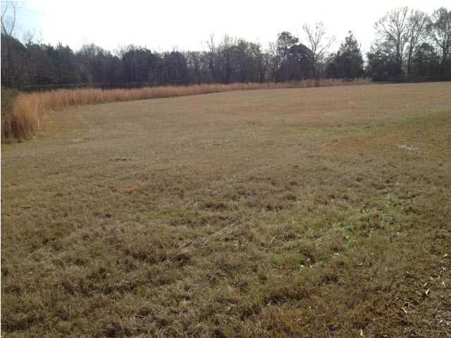 0 Lebanon Pinegrove Road Jackson, MS 39209 - Photo 3 of 5 Photo 3