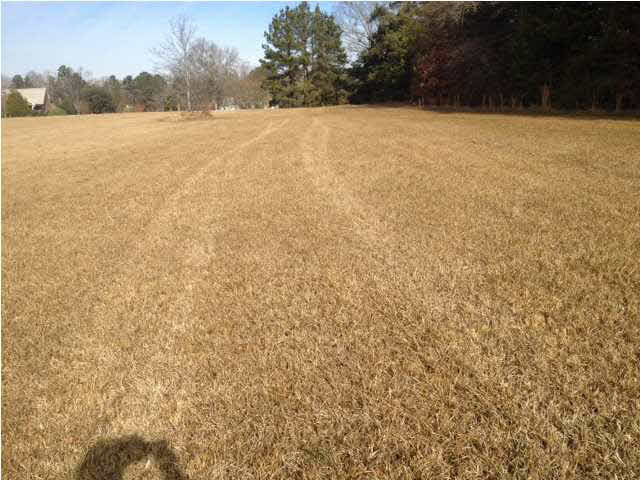 0 Lebanon Pinegrove Road Jackson, MS 39209 - Photo 5 of 5 Photo 5