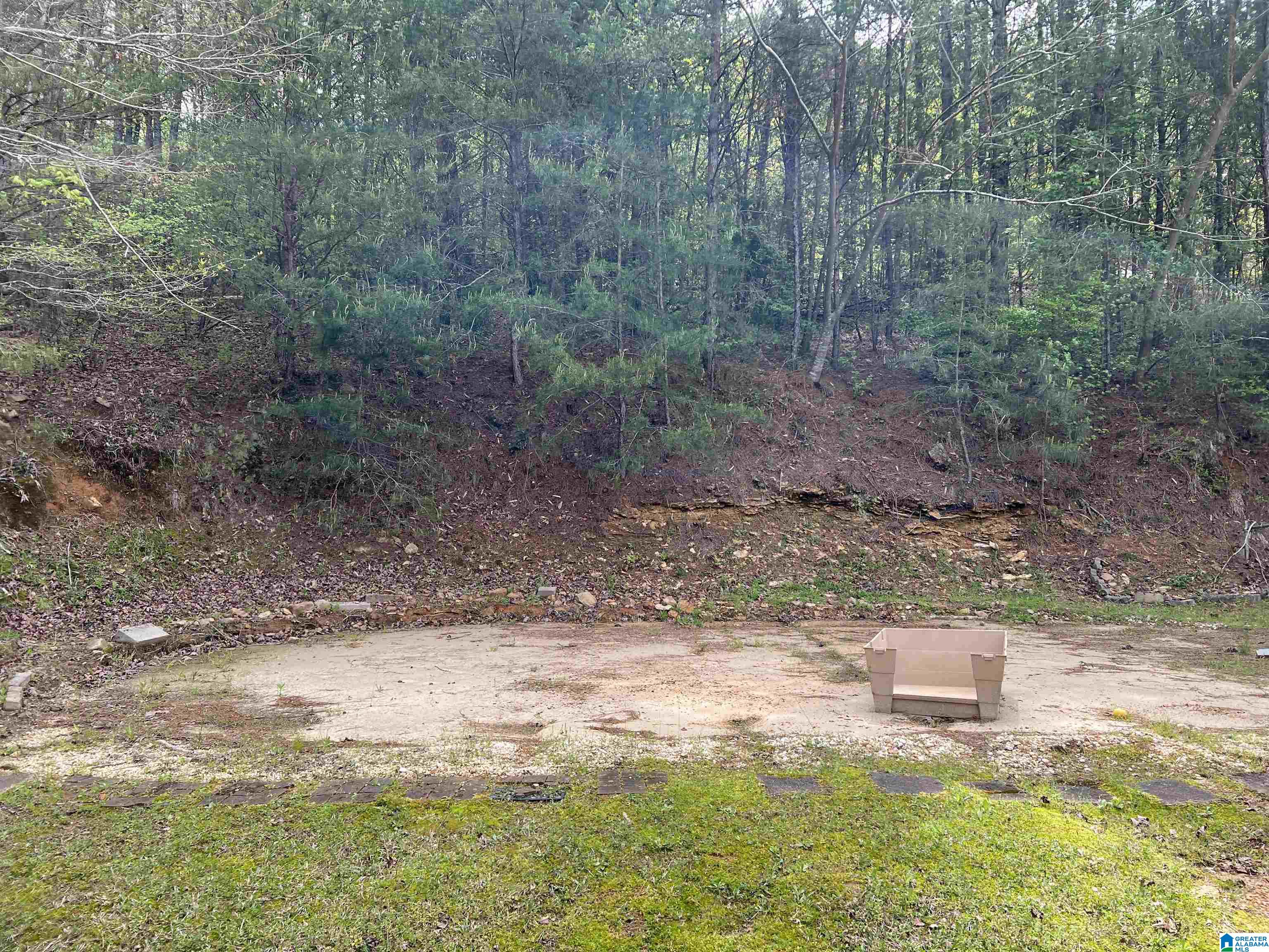 1158 Armstrong Road Remlap, AL 35133 - Photo 67 of 70