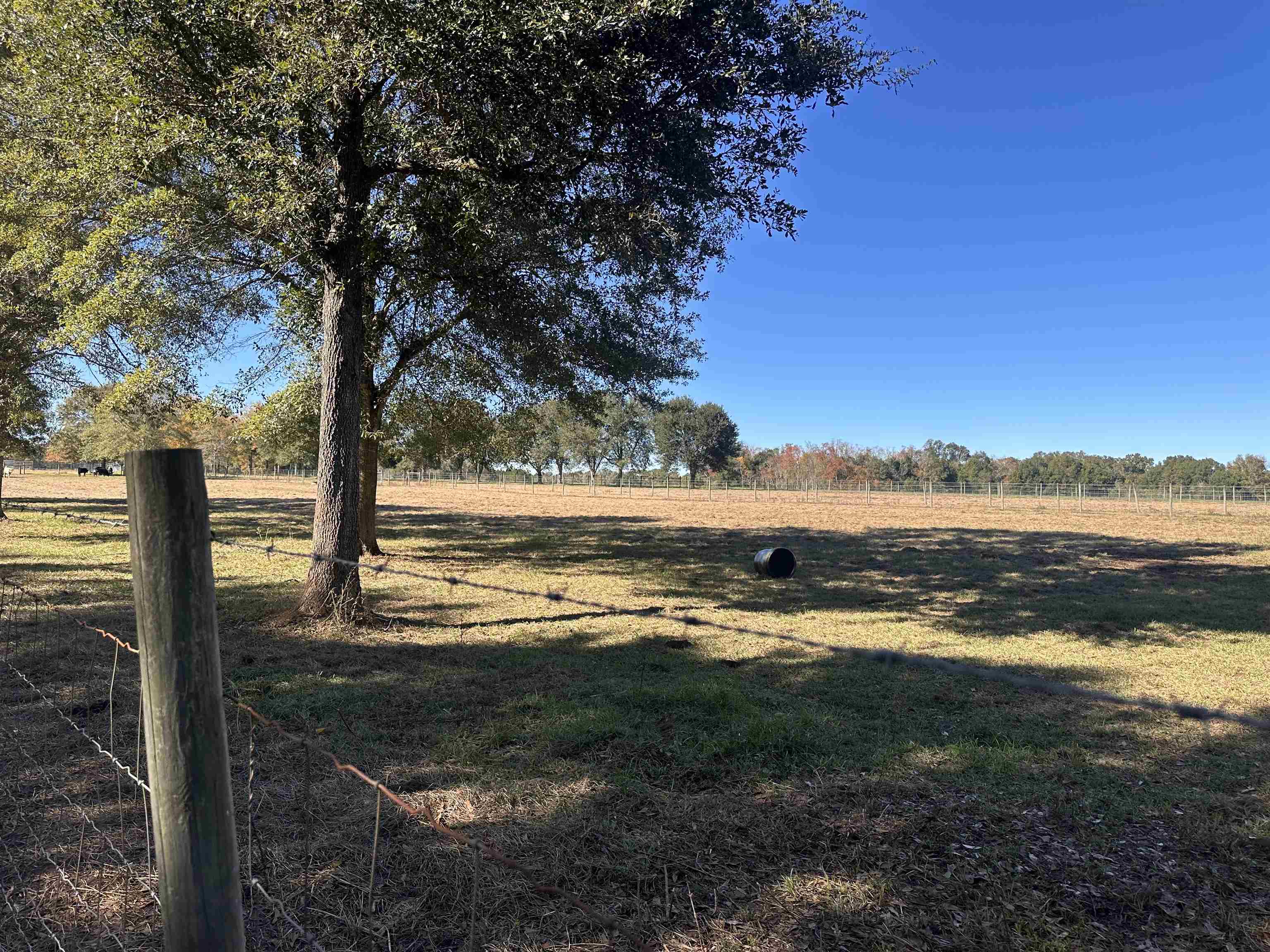 0 Newman Road Summerdale, AL 36580 - Photo 14 of 14