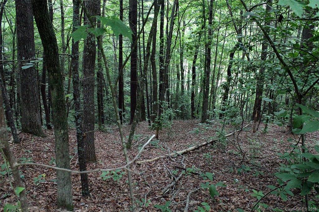 4 Tiptop Road, Unit 4 Brevard, NC 28712 - Photo 2 of 18 Gallery Image 2