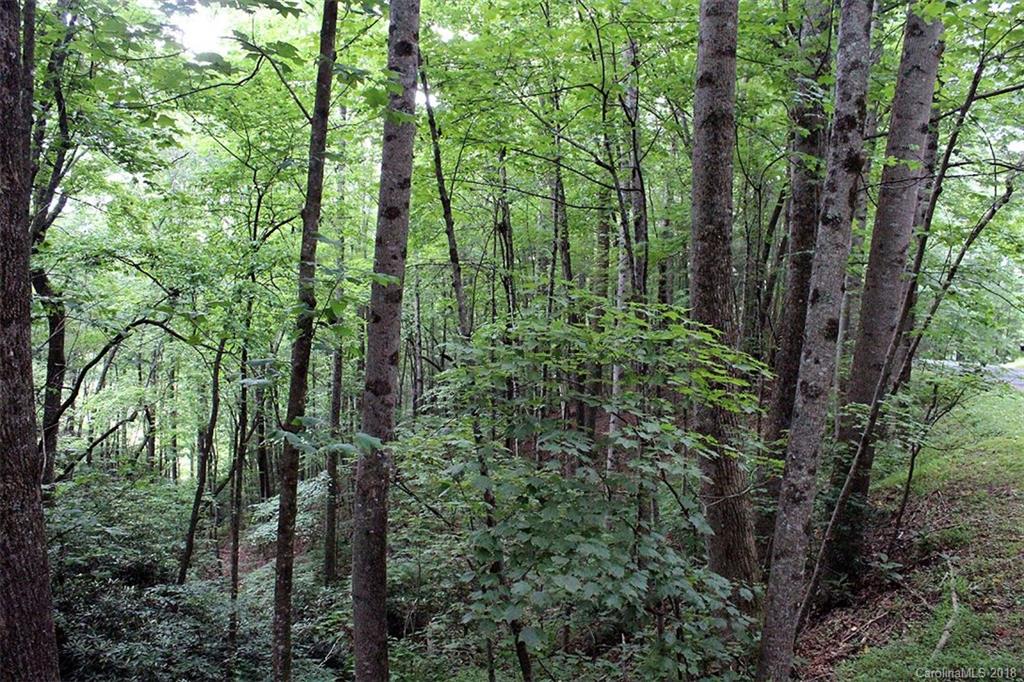 4 Tiptop Road, Unit 4 Brevard, NC 28712 - Photo 11 of 18 Gallery Image 11