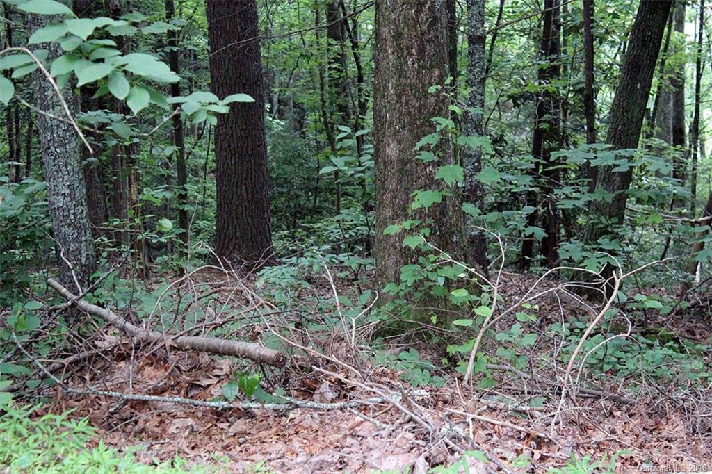 4 Tiptop Road, Unit 4 Brevard, NC 28712 - Photo 12 of 18 Gallery Image 12