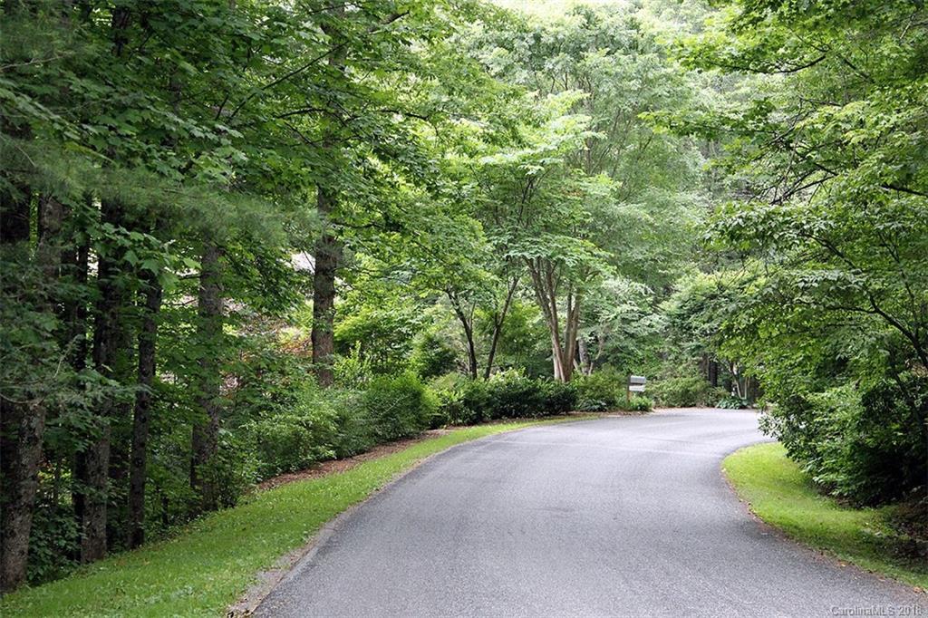 4 Tiptop Road, Unit 4 Brevard, NC 28712 - Photo 8 of 18 Gallery Image 8