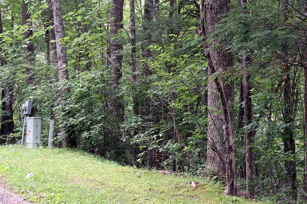 4 Tiptop Road, Unit 4 Brevard, NC 28712 - Photo 9 of 18 Gallery Image 9