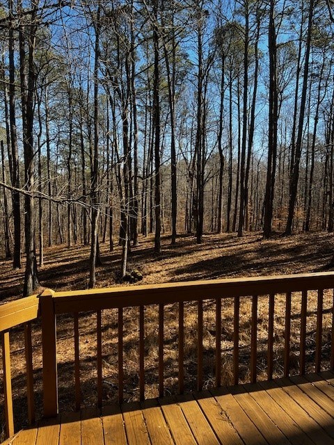 1015 Iron Mountain Road Canton, GA 30115 - Photo 20 of 24 Gallery Image 20