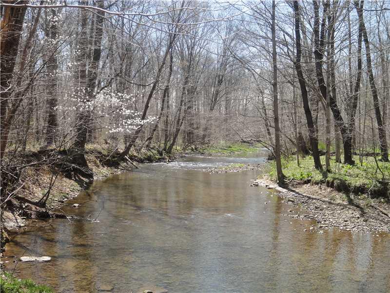 225 Weaver Mill Road Rector, PA 15677 - Photo 21 of 25 Land.
