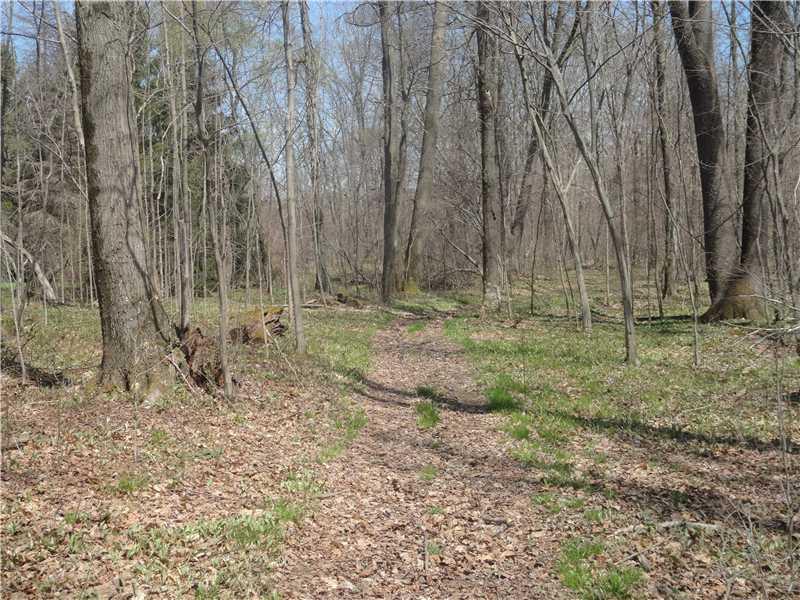 225 Weaver Mill Road Rector, PA 15677 - Photo 22 of 25 Land. Riding Trail