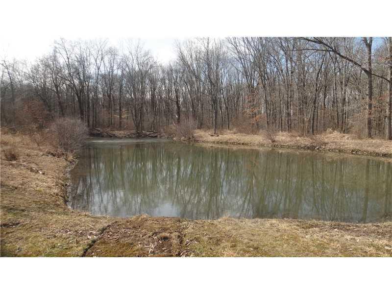 225 Weaver Mill Road Rector, PA 15677 - Photo 24 of 25 Land. Stocked Pond