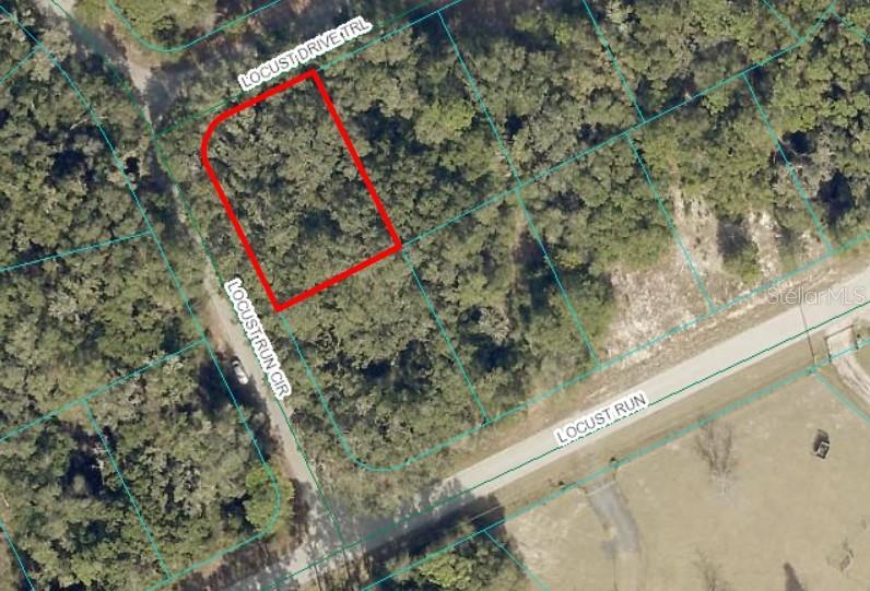 a view of a small park