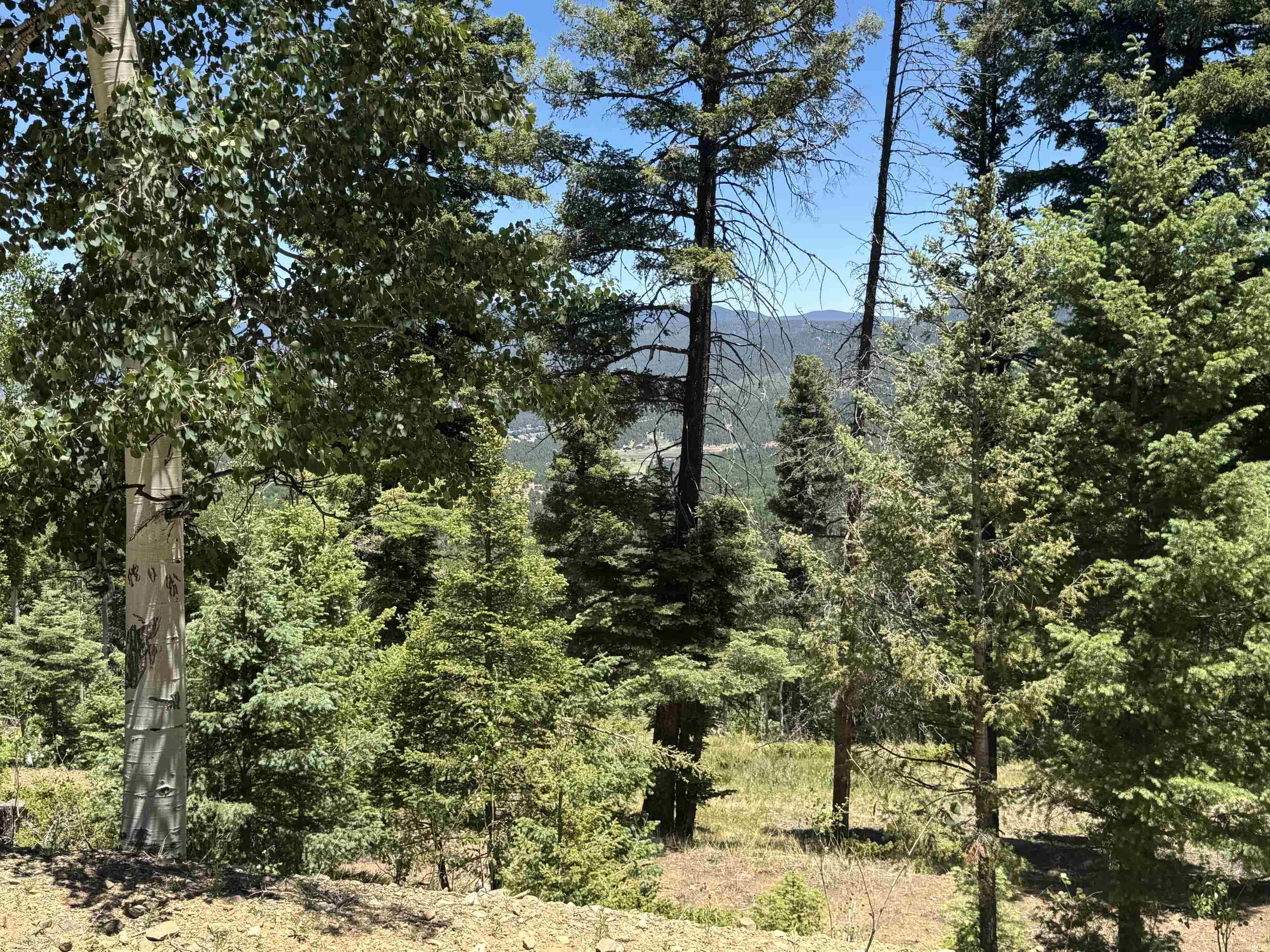 Lot 106 Zia Road Angel Fire, NM 87710 - Photo 21 of 23 Gallery Image 21