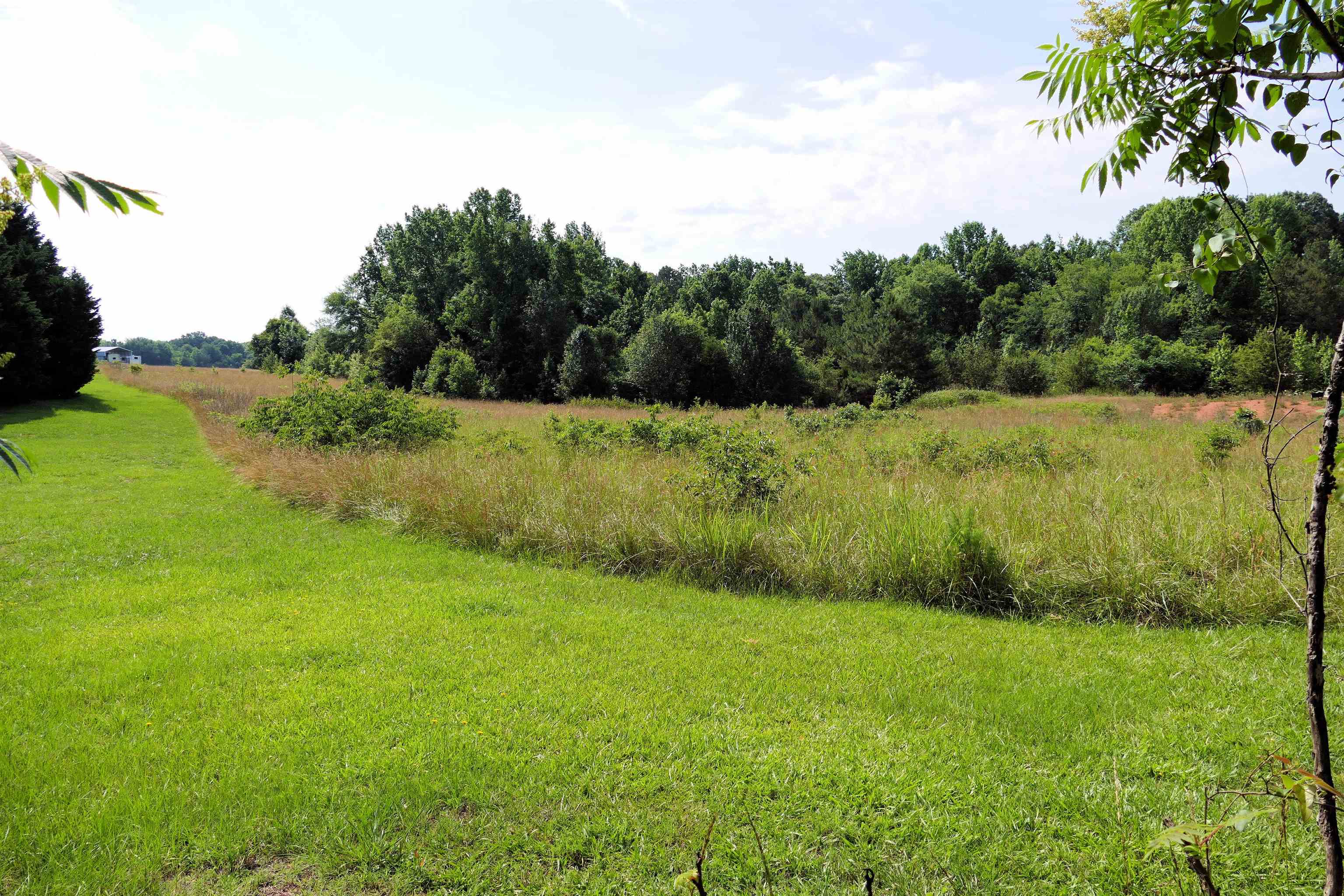 311 Grindall Ford Road Pacolet, SC 29372 - Photo 2 of 5