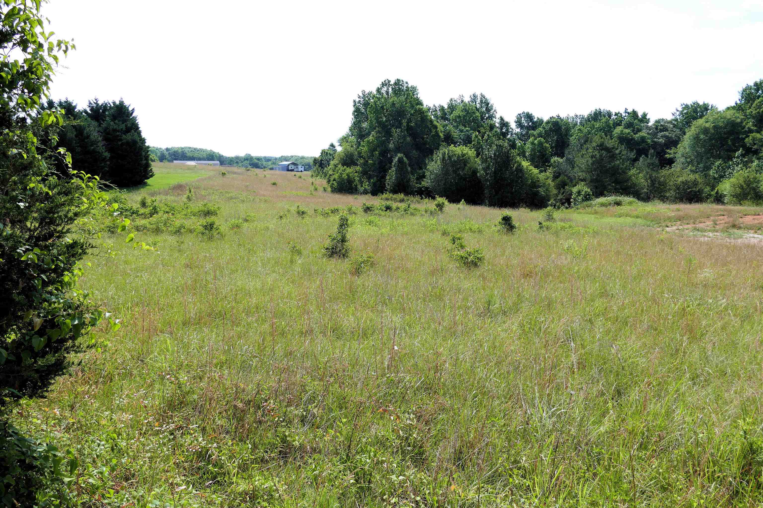 311 Grindall Ford Road Pacolet, SC 29372 - Photo 5 of 5