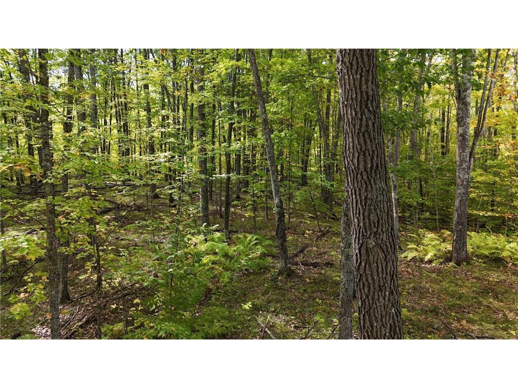 57919 Hay Creek Road Sandstone, MN 55072 - Photo 47 of 48
