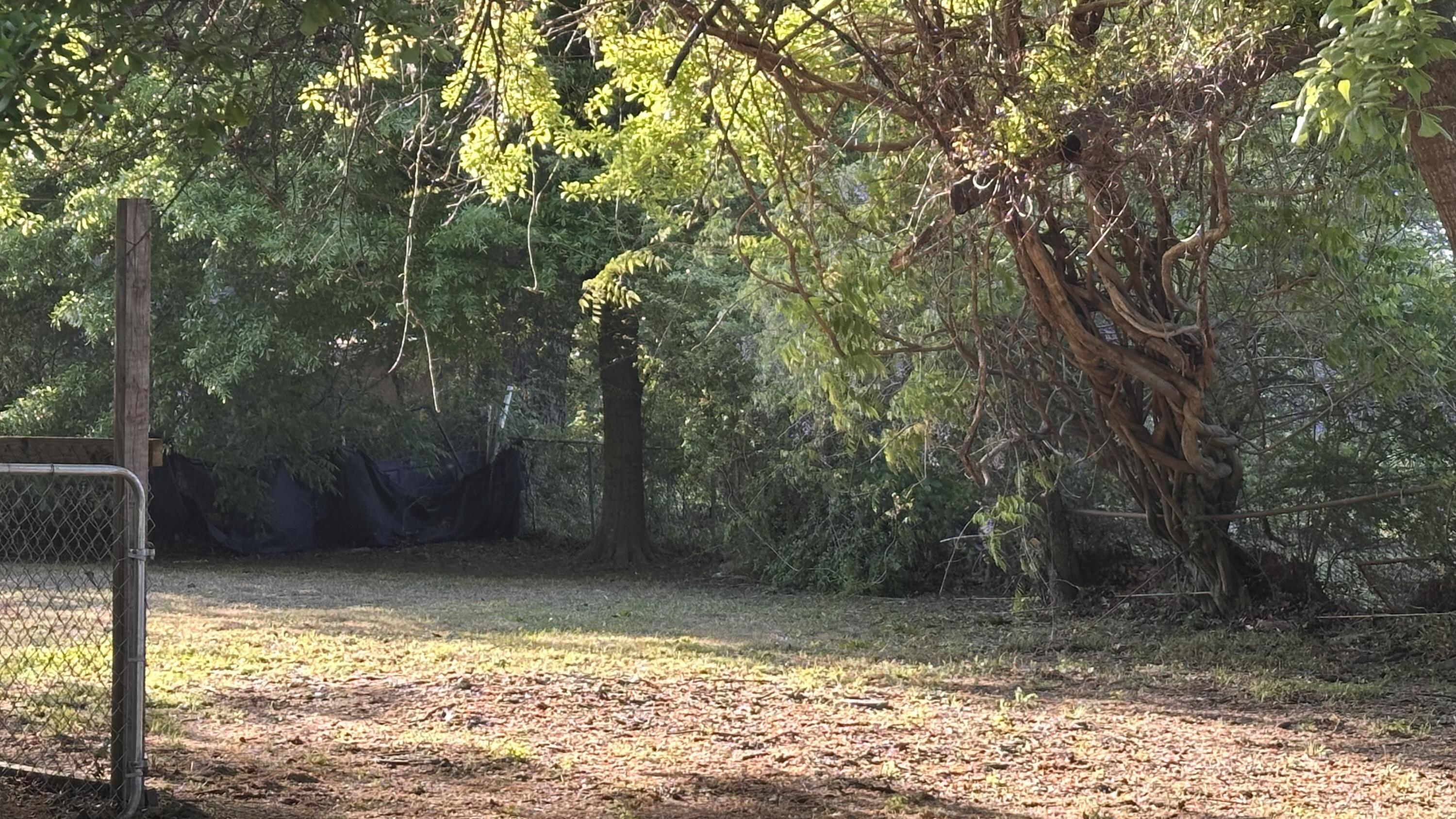 1328 White Drive Charleston, SC 29407 - Photo 5 of 5 IMG_8268