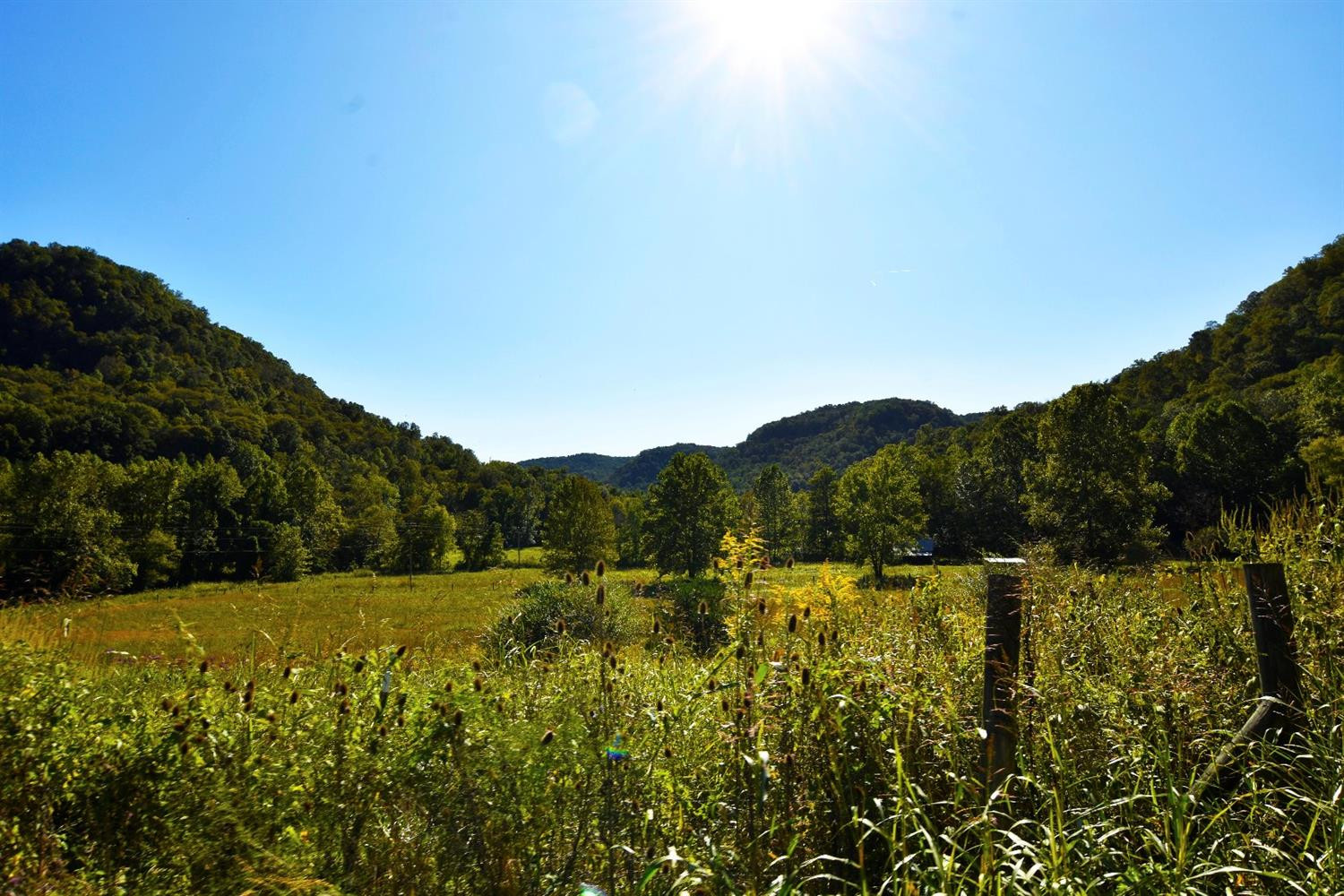 250 Middle Fork Road Irvine, KY 40336 - Photo 13 of 31 Yes life can be this peaceful!