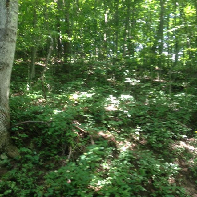 Meadow Mountain Road Crawley, WV 24931 - Photo 2 of 4 Gallery Image 2