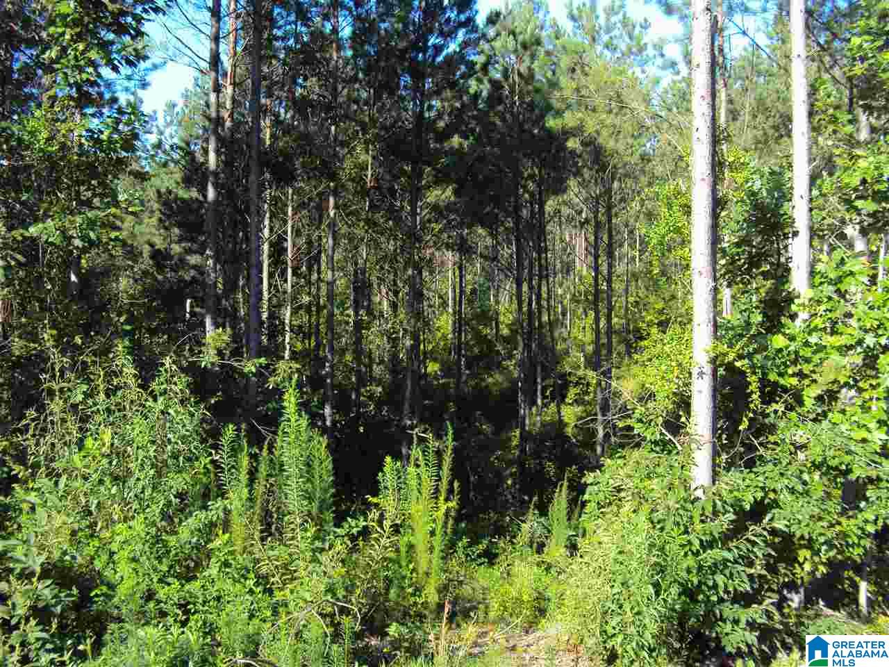 12 County Road Odenville, AL 35120 - Photo 1 of 2