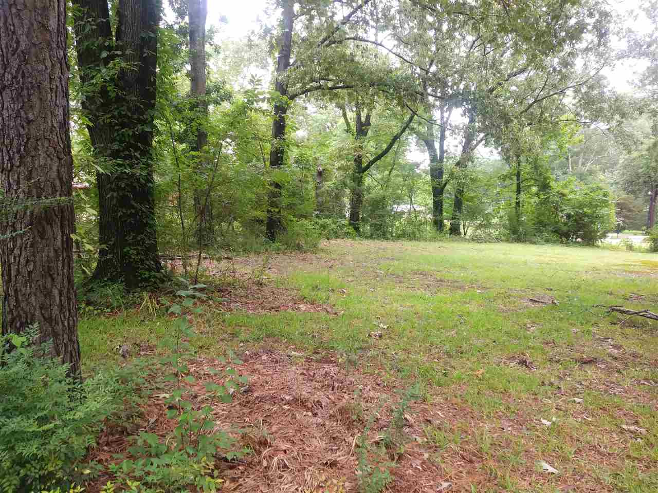 140 North Maple Street Ridgeland, MS 39157 - Photo 5 of 27 Photo 5