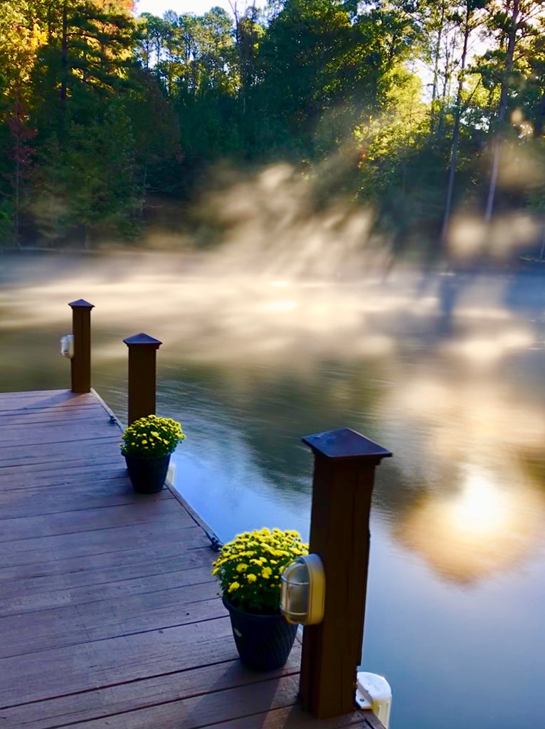 971 Harrisville Road Hamilton, GA 31811 - Photo 22 of 27 BEAUTIFUL WATER VIEWS