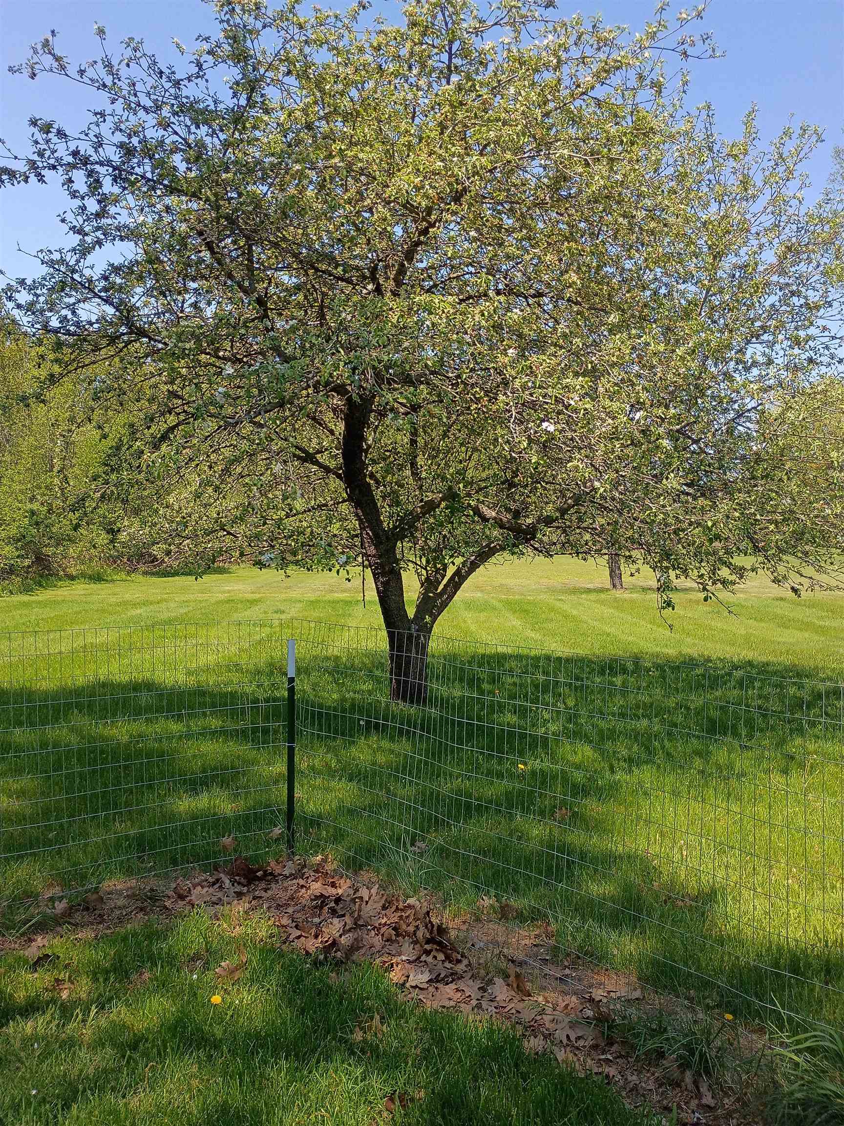 715 Monument Road East Tawas, MI 48730 - Photo 5 of 31