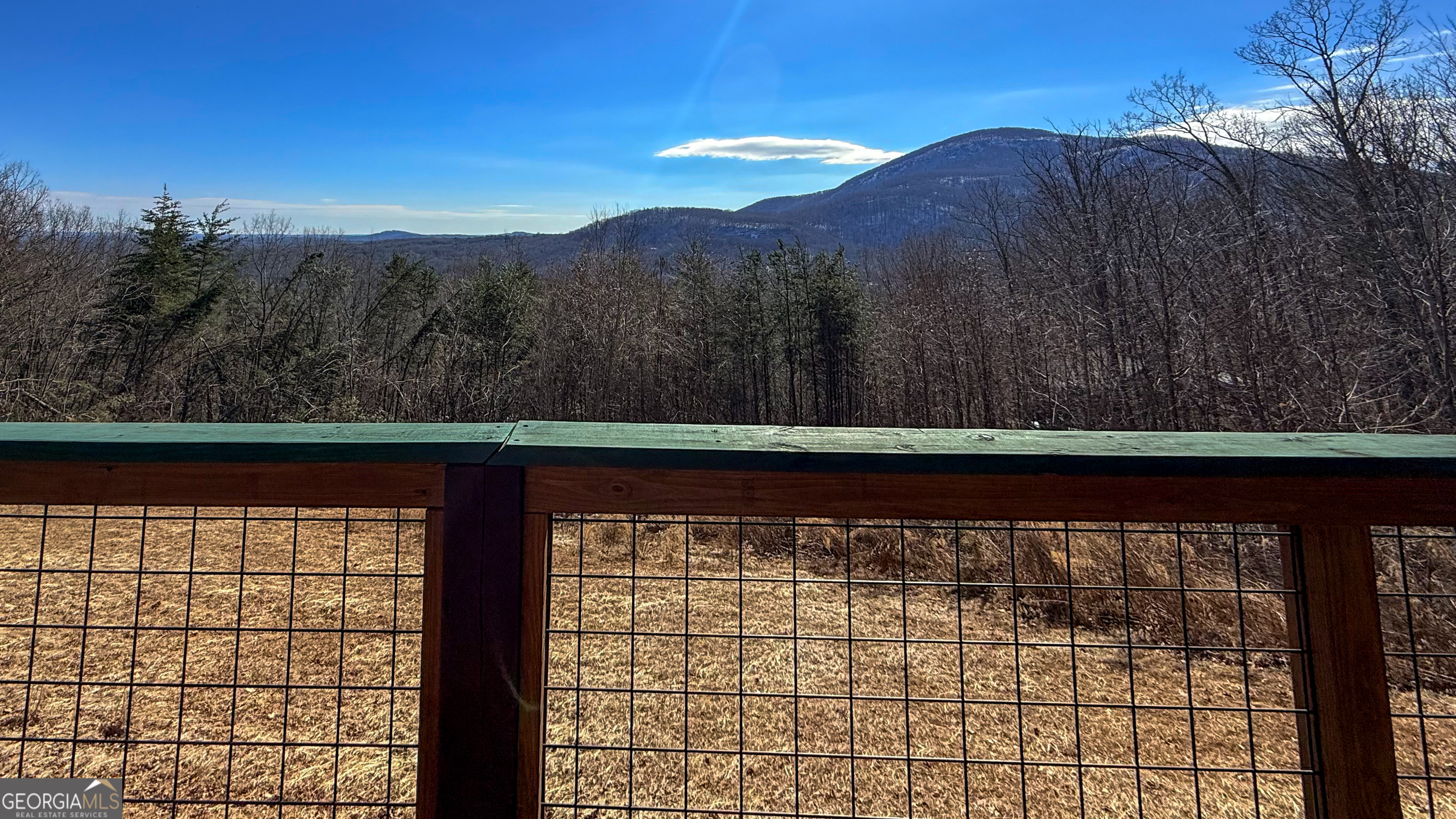 476 Starlight Drive Sautee Nacoochee, GA 30571 - Photo 44 of 55