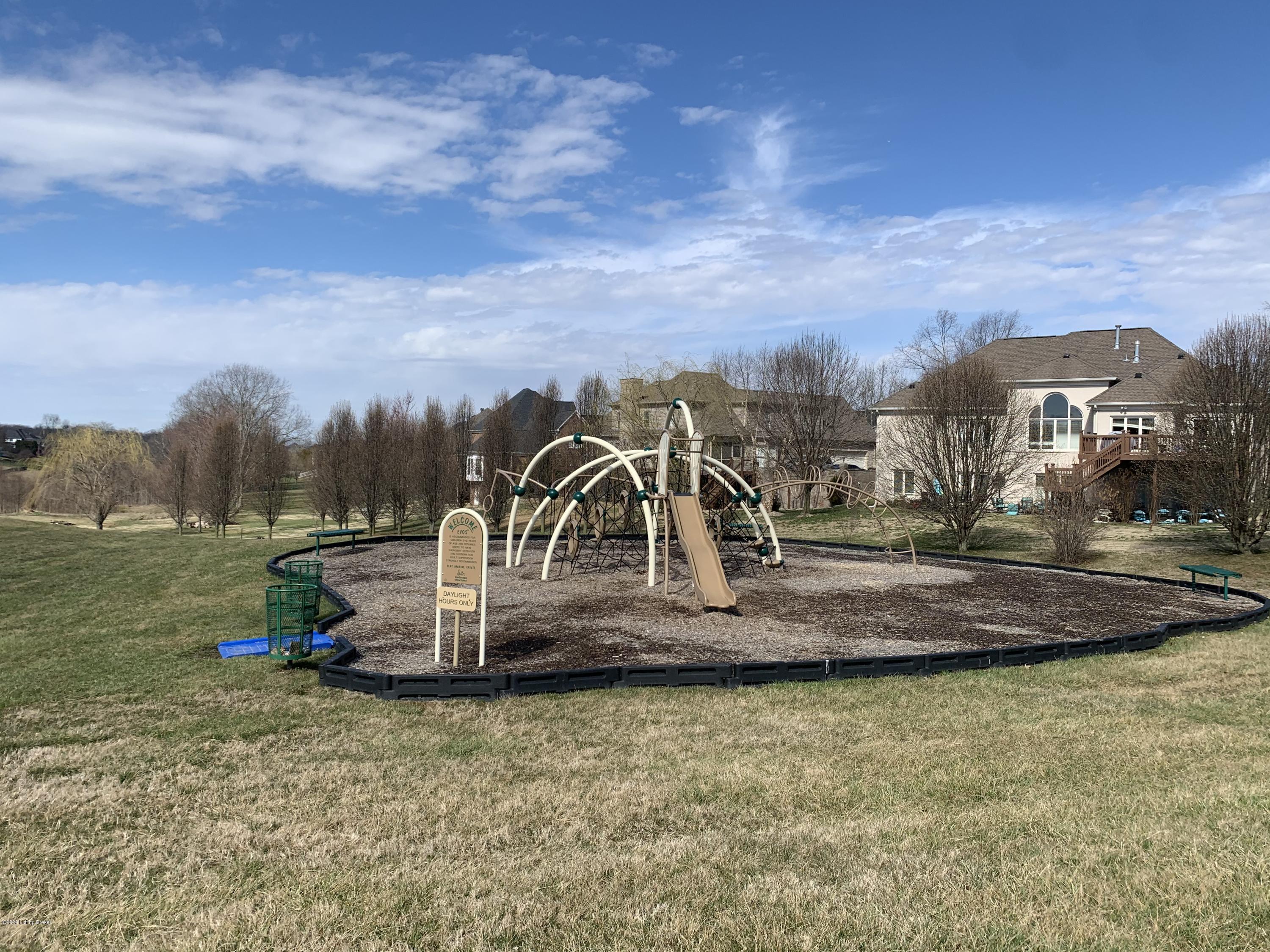 13314 Ridgemoor Drive Prospect, KY 40059 - Photo 73 of 76 Community Playground